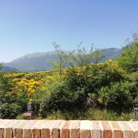 Bed and Breakfast Luci sui Monti Sarnano Esterno foto