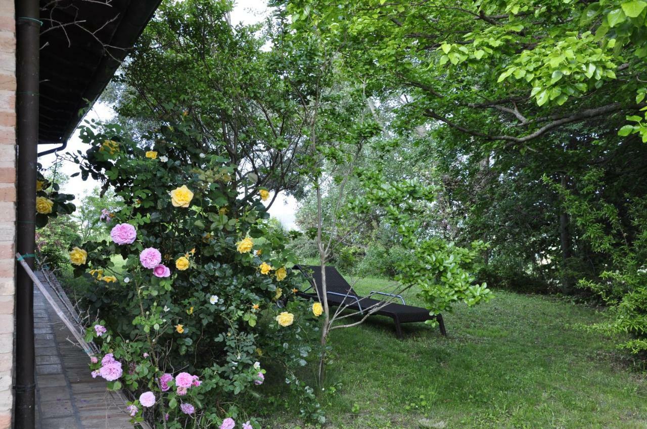 Bed and Breakfast Luci sui Monti Sarnano Esterno foto
