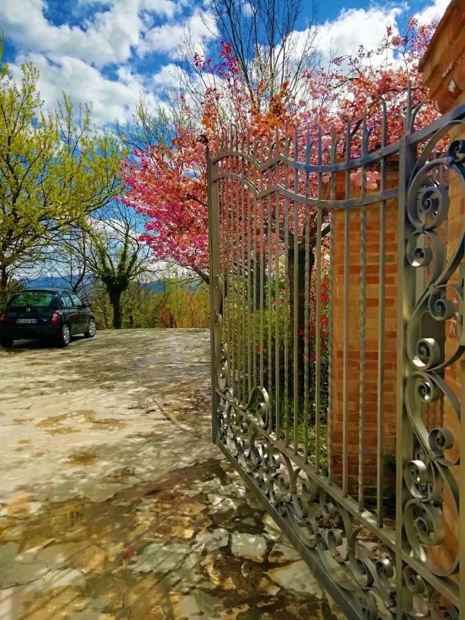 Bed and Breakfast Luci sui Monti Sarnano Esterno foto